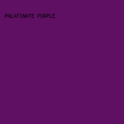 5F1062 - Palatinate Purple color image preview
