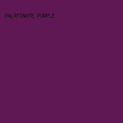 5F1854 - Palatinate Purple color image preview