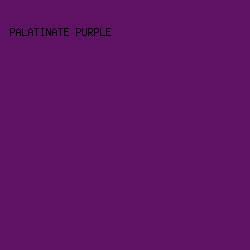 5e1263 - Palatinate Purple color image preview