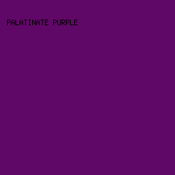600867 - Palatinate Purple color image preview