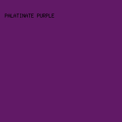 611966 - Palatinate Purple color image preview