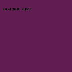 611D52 - Palatinate Purple color image preview