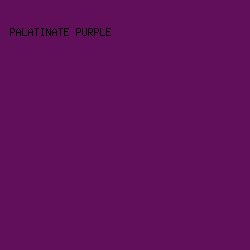 620F5B - Palatinate Purple color image preview
