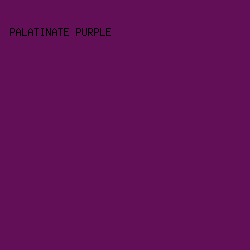 630f58 - Palatinate Purple color image preview