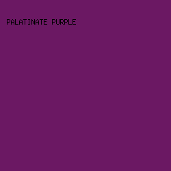 6b1863 - Palatinate Purple color image preview