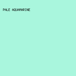 a9f6dd - Pale Aquamarine color image preview