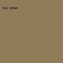 927B58 - Pale Brown color image preview