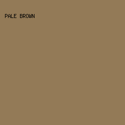 937a57 - Pale Brown color image preview