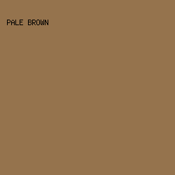 95734D - Pale Brown color image preview