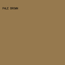 96794e - Pale Brown color image preview