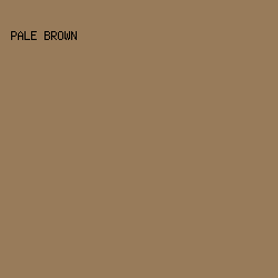 987B5A - Pale Brown color image preview