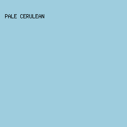 9ECDDE - Pale Cerulean color image preview