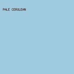 A0CBDE - Pale Cerulean color image preview