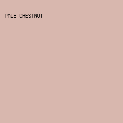 D8B7AE - Pale Chestnut color image preview