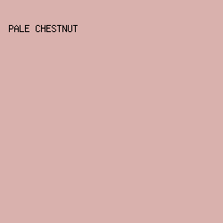 D9B1AD - Pale Chestnut color image preview