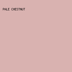 D9B2B0 - Pale Chestnut color image preview