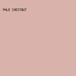 D9B3AB - Pale Chestnut color image preview