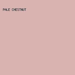 D9B3B0 - Pale Chestnut color image preview