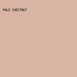 D9B4A5 - Pale Chestnut color image preview