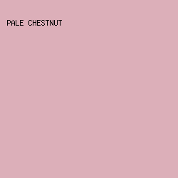 DCAFB9 - Pale Chestnut color image preview