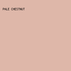DEB7A9 - Pale Chestnut color image preview
