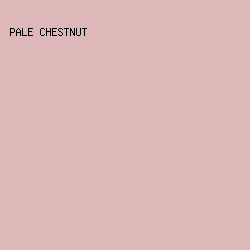 DEB8B8 - Pale Chestnut color image preview