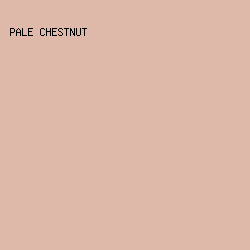 DEB9AA - Pale Chestnut color image preview