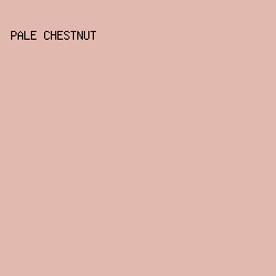 E2B9AF - Pale Chestnut color image preview