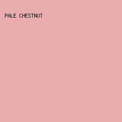 E9ADAD - Pale Chestnut color image preview
