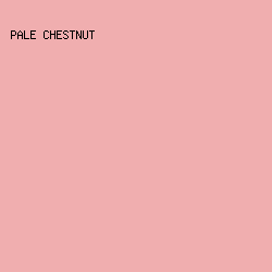 F0AEAF - Pale Chestnut color image preview