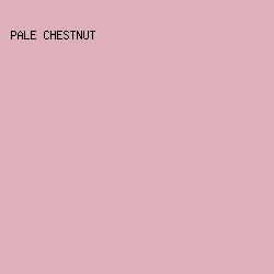 deb0ba - Pale Chestnut color image preview