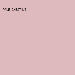 deb9bd - Pale Chestnut color image preview