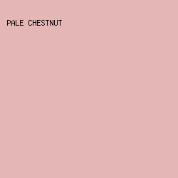 e5b6b6 - Pale Chestnut color image preview