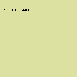 DCE0A1 - Pale Goldenrod color image preview