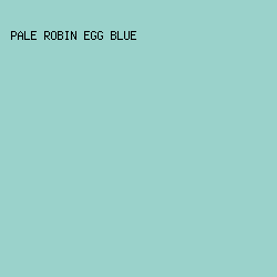 9AD2CB - Pale Robin Egg Blue color image preview