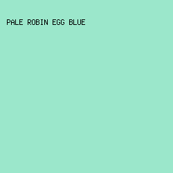 9BE7CB - Pale Robin Egg Blue color image preview