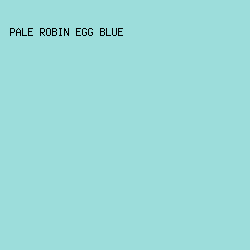 9CDDDB - Pale Robin Egg Blue color image preview