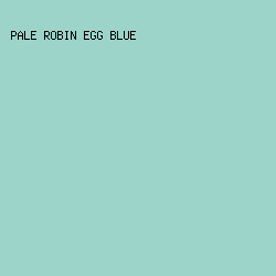 9DD4C9 - Pale Robin Egg Blue color image preview