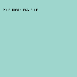 9ED6CD - Pale Robin Egg Blue color image preview
