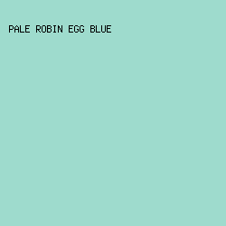 9EDBCD - Pale Robin Egg Blue color image preview