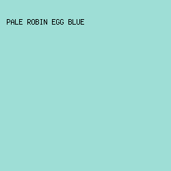 9EDED6 - Pale Robin Egg Blue color image preview