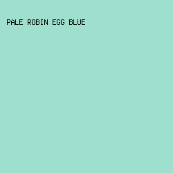 9FDFCD - Pale Robin Egg Blue color image preview
