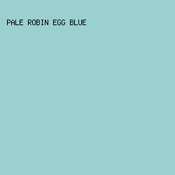 9bd0d0 - Pale Robin Egg Blue color image preview