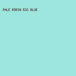 9be5dd - Pale Robin Egg Blue color image preview