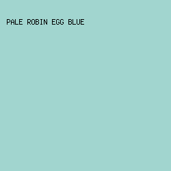 a1d5cf - Pale Robin Egg Blue color image preview