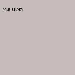 C7BCBC - Pale Silver color image preview