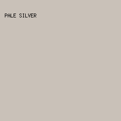 C9C1B8 - Pale Silver color image preview
