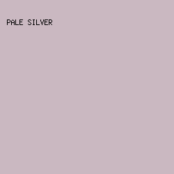 CAB8C1 - Pale Silver color image preview