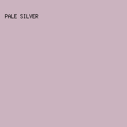 CBB3BF - Pale Silver color image preview