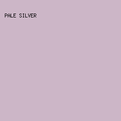 CCB6C7 - Pale Silver color image preview